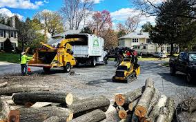 Best Grass Overseeding  in North Shore, CA