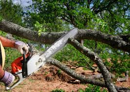 Best Lawn Irrigation Installation and Maintenance  in North Shore, CA